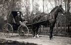 horsebuggy